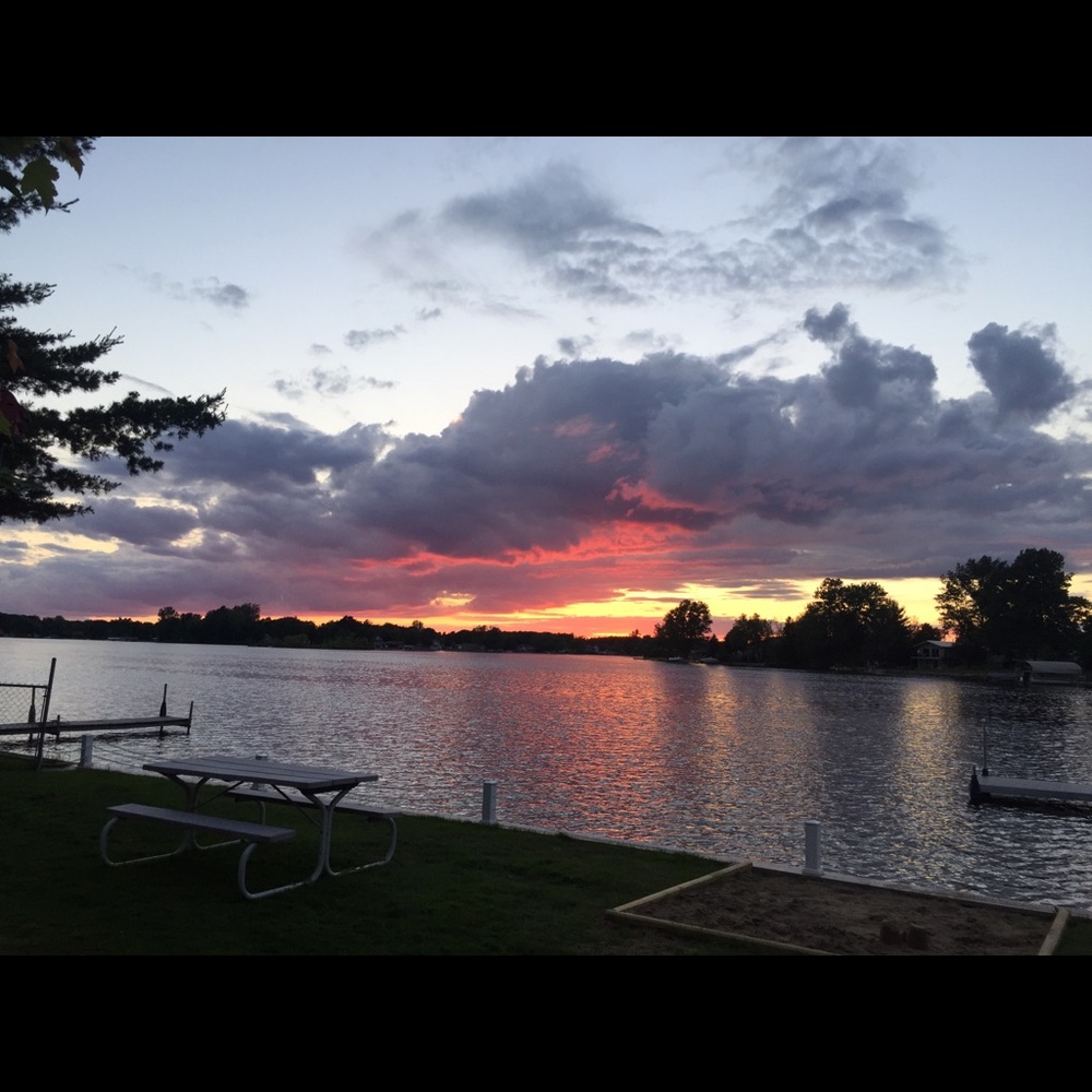 Meet your Posher, Shavon